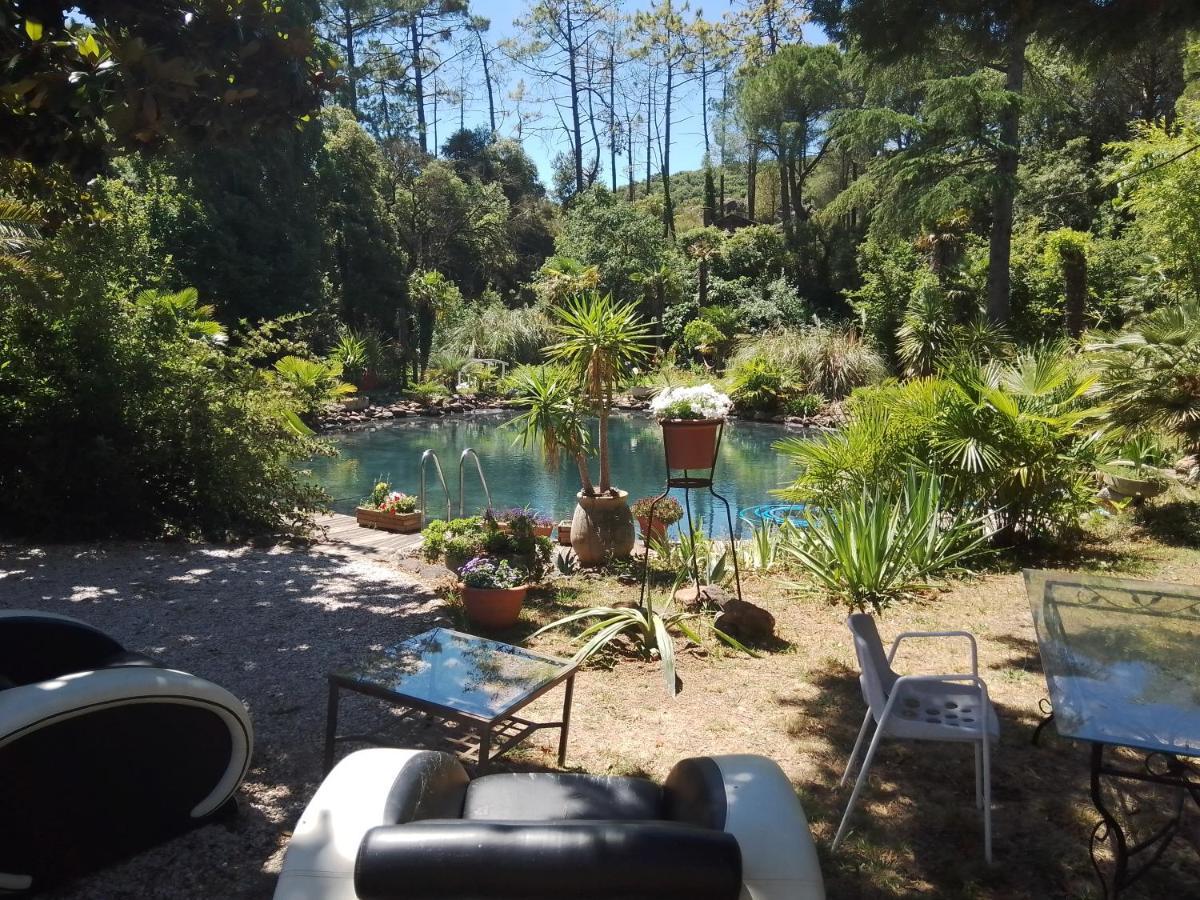 Verparadis Holiday home *